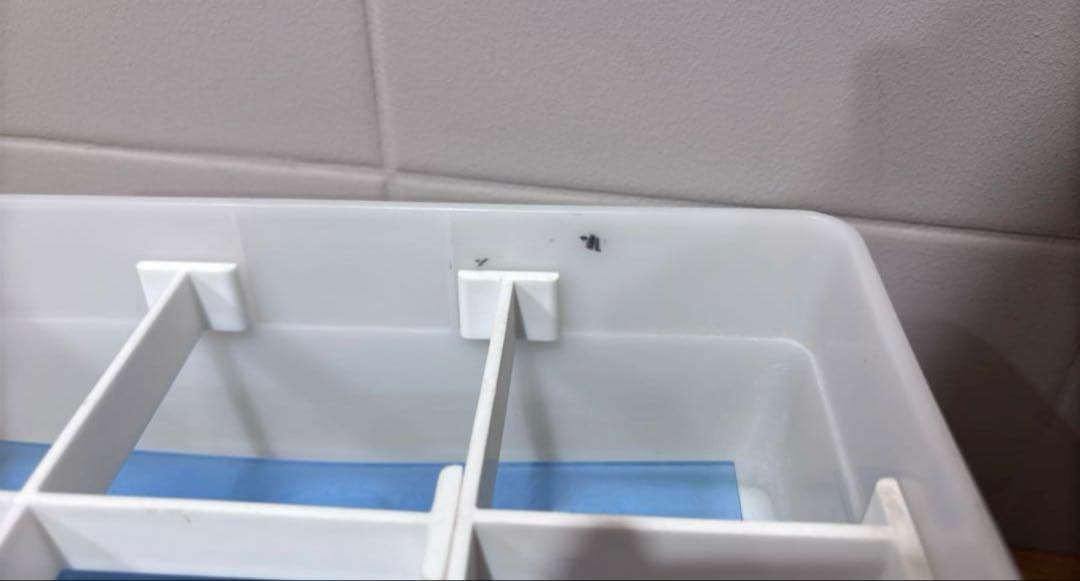 サンダイア ウォマトロン 井藤製作所