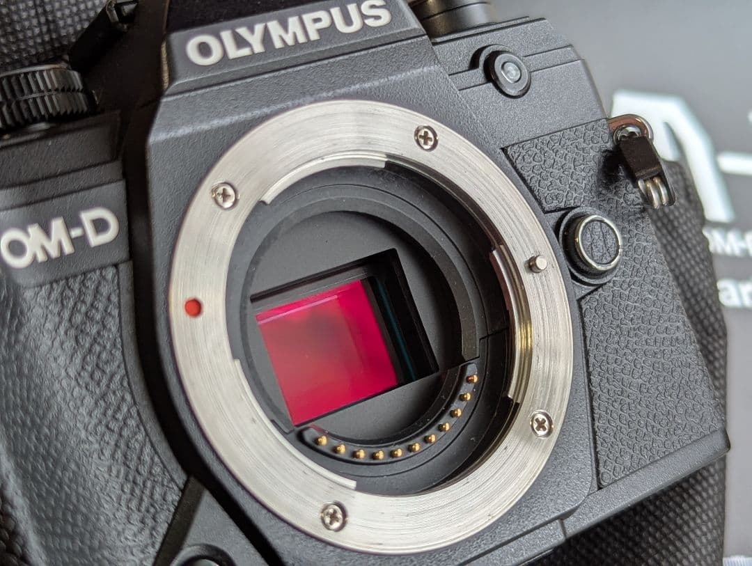 【美品】OLYMPUS OM-D E-M5 Mark III 本体　元箱付