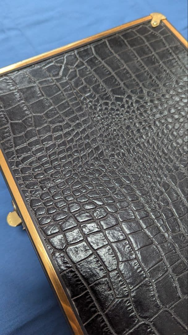 沖縄三線 本蛇皮強化張り 池武当新垣三線店 ハードケース付き 付属品多数