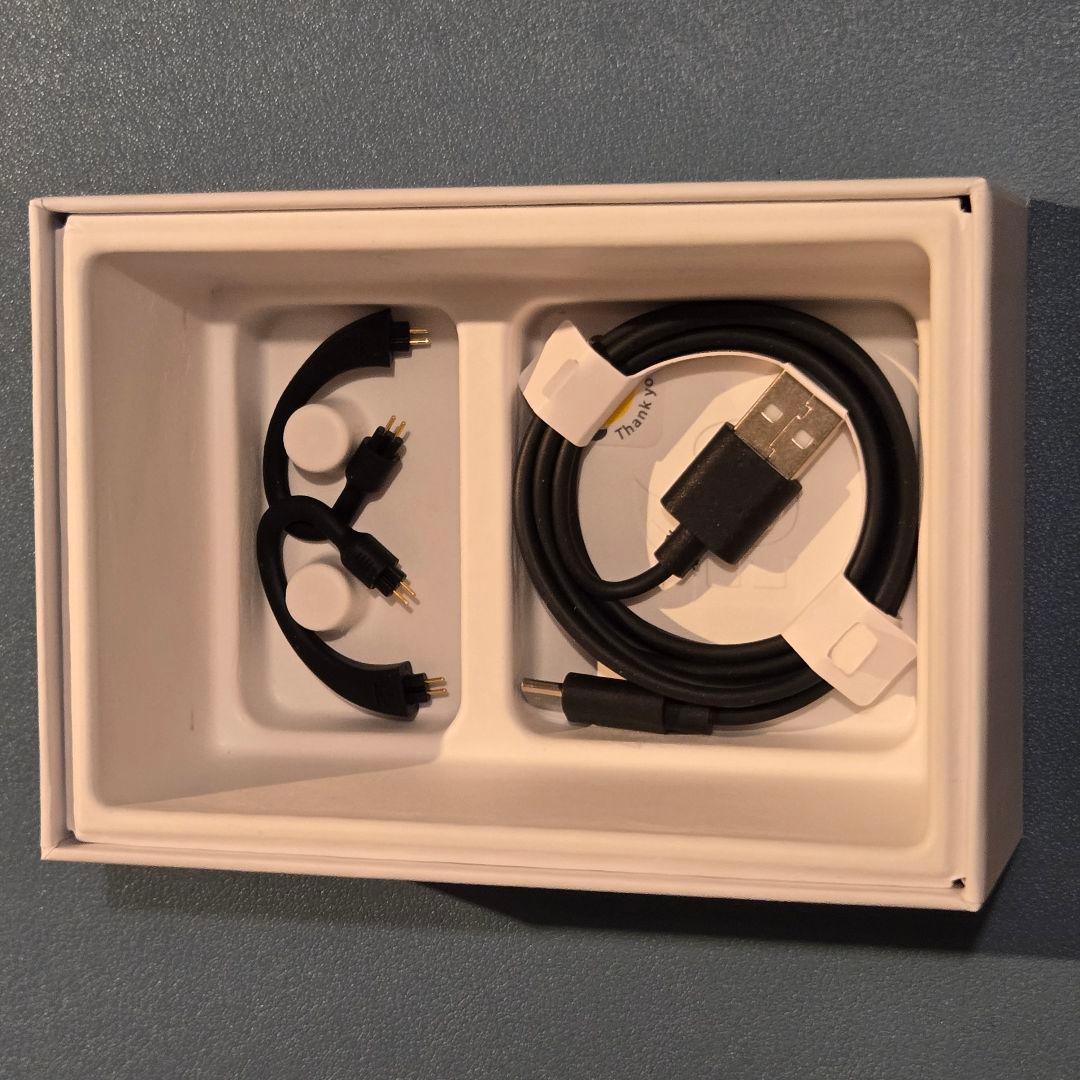 ifi audio GO pod【購入証明有】