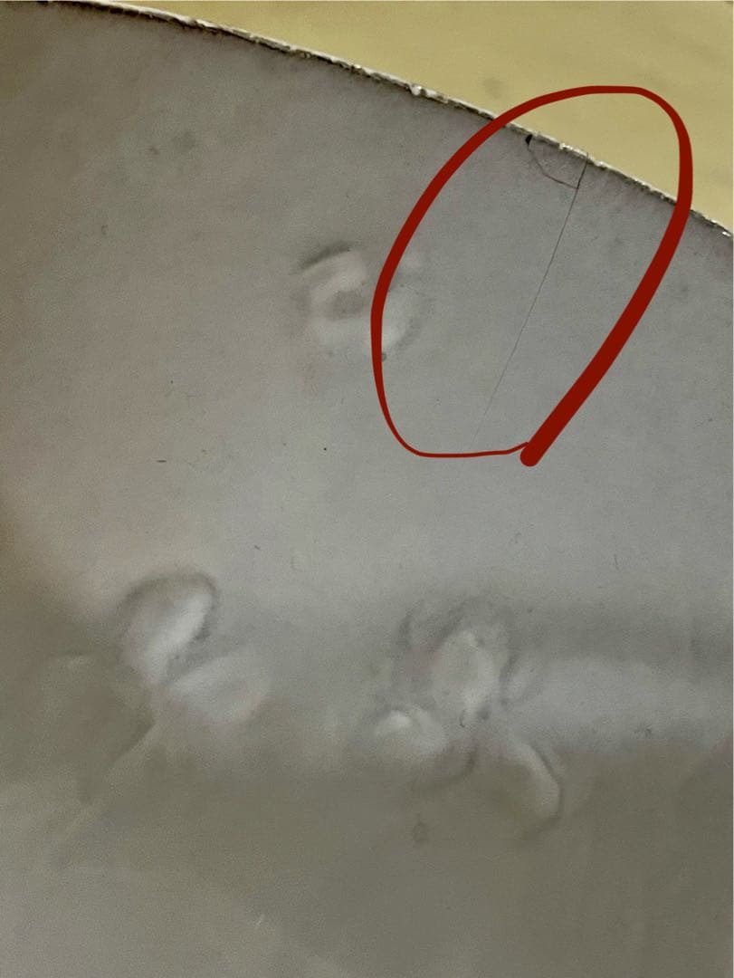 アスティエ・ド・ヴィラット Astier de Villatte スズラン