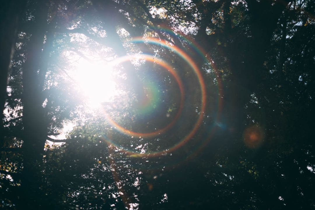 美フレア Super Multi Coated TAKUMAR 55mmf1.8