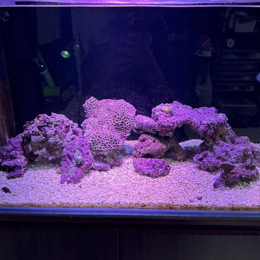 ライブロック　11kg