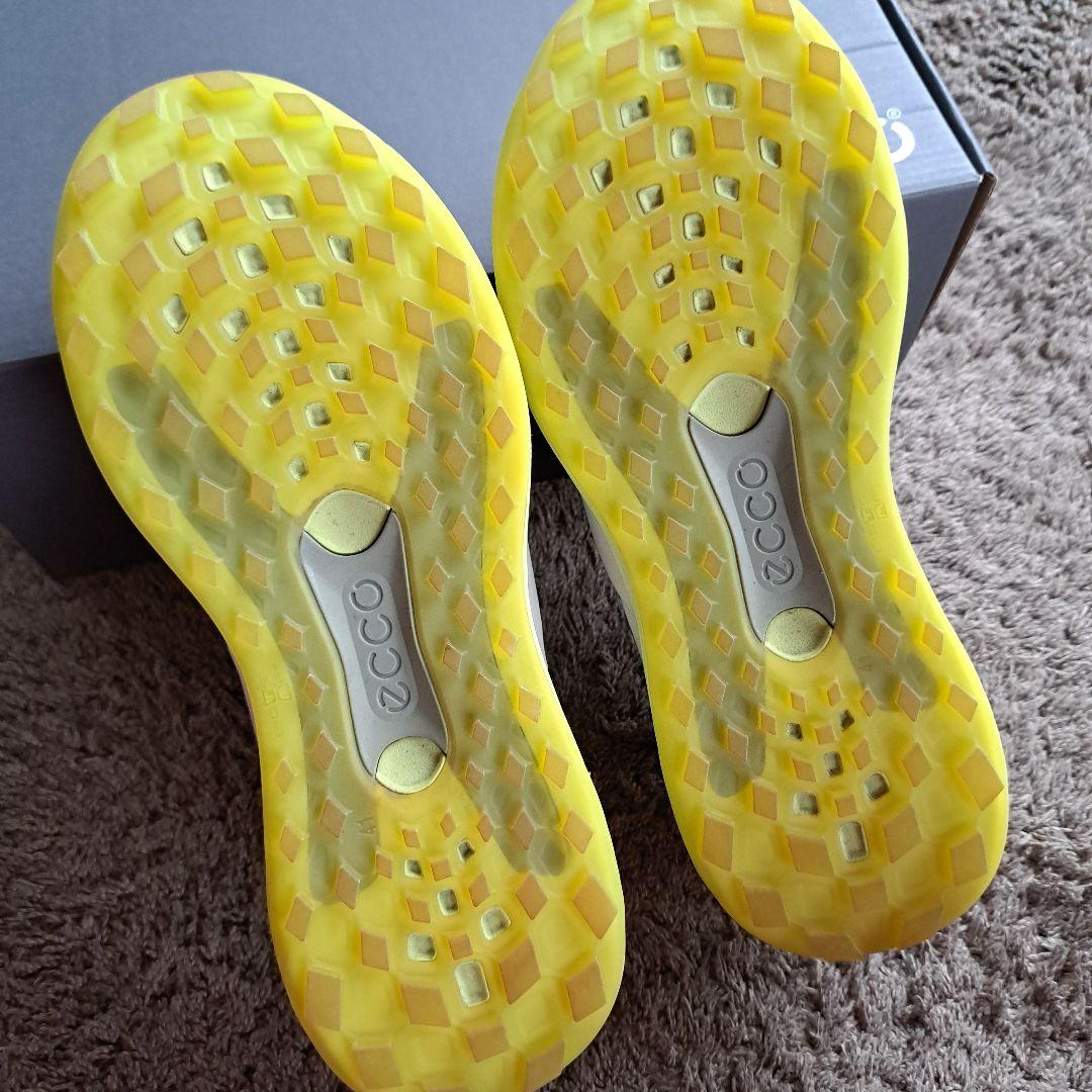 ECCO　M GOLF. LT1. BOA (26.0)