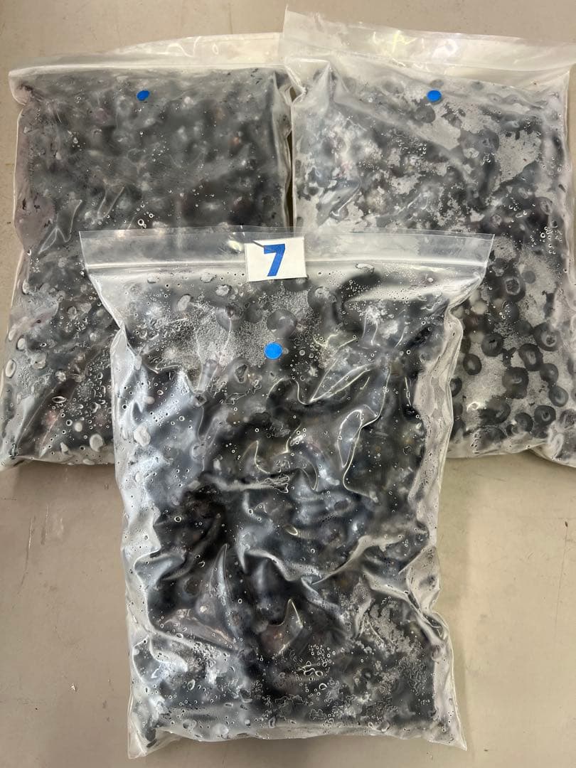 pinkroses冷凍ブルーベリー中粒3kg