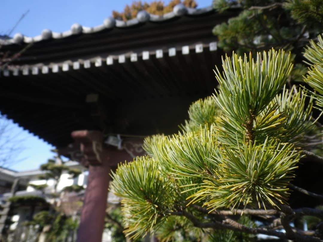 実写良⭕️外観美【動作確認済み】PENTAX OPTIO H90 コンデジ