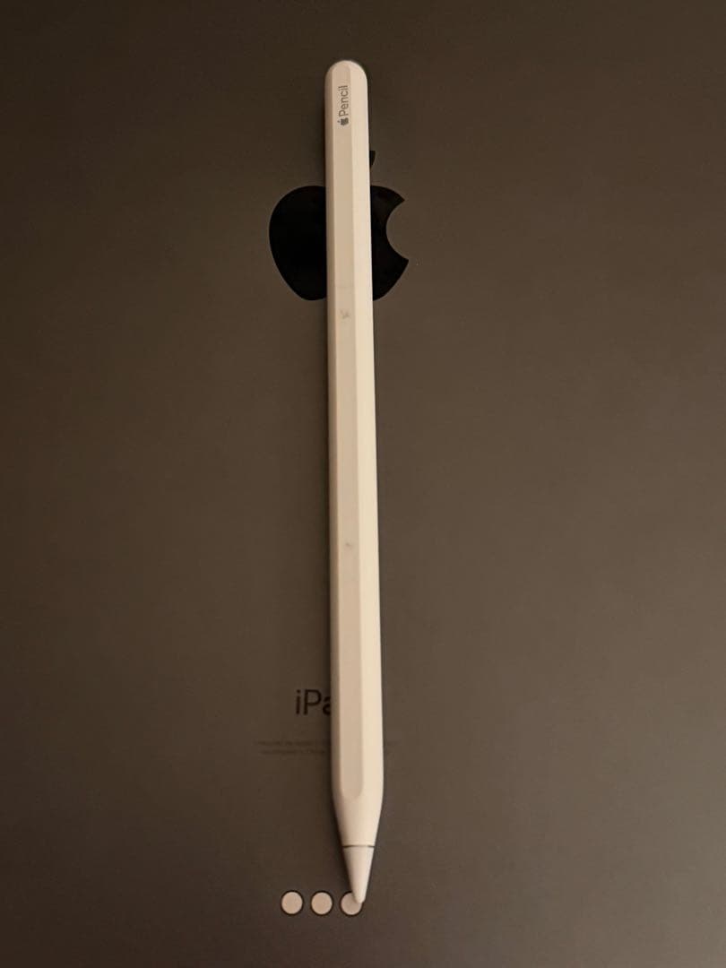 iPad本体 AppleiPadPro 256GB / 100%