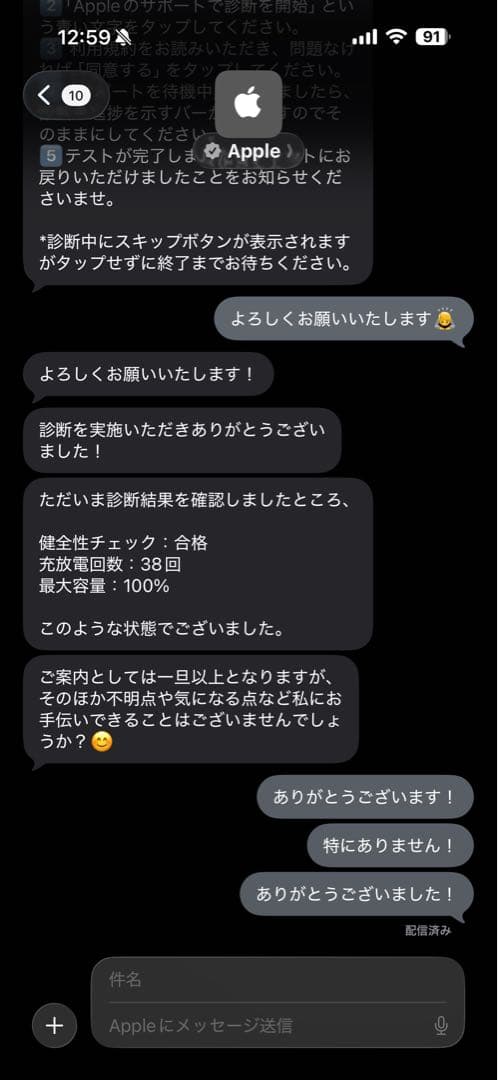 iPad本体 AppleiPadPro 256GB / 100%