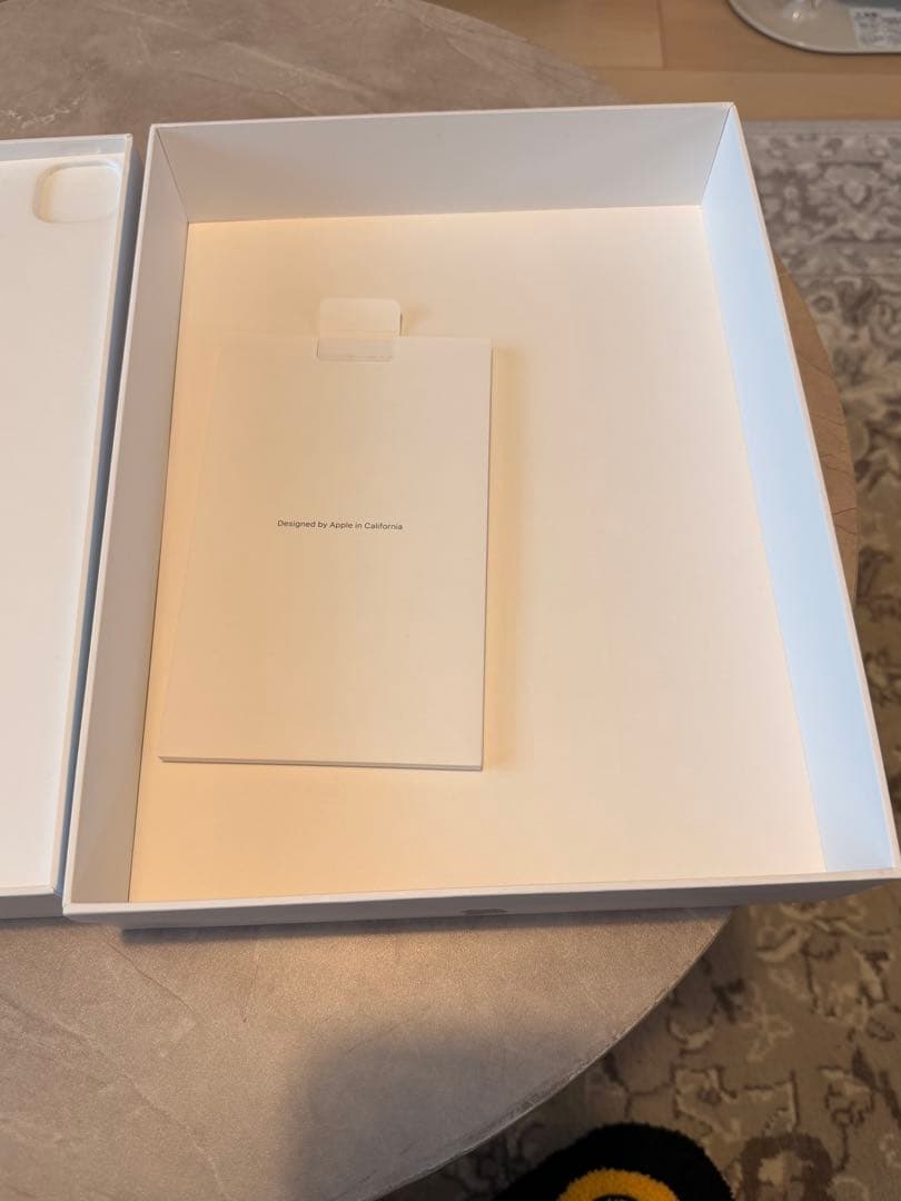 iPad本体 AppleiPadPro 256GB / 100%