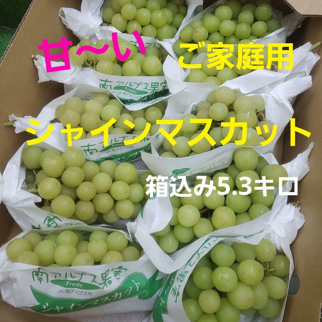 8️⃣ 山梨県産 シャインマスカット １０房入り 箱込み5.3キロ