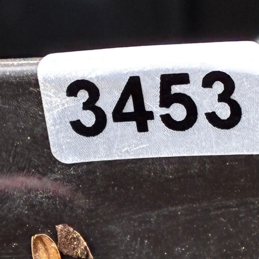 か*ん様 3453☘️限定1株☘️未株分け☘️花付き☘️⭐️コロコロ手毬咲⭐️小