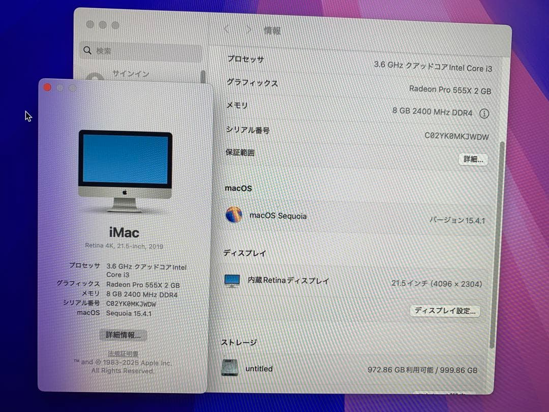 Apple iMac 21.5インチ　A2116 2019 i3 1TB HDD