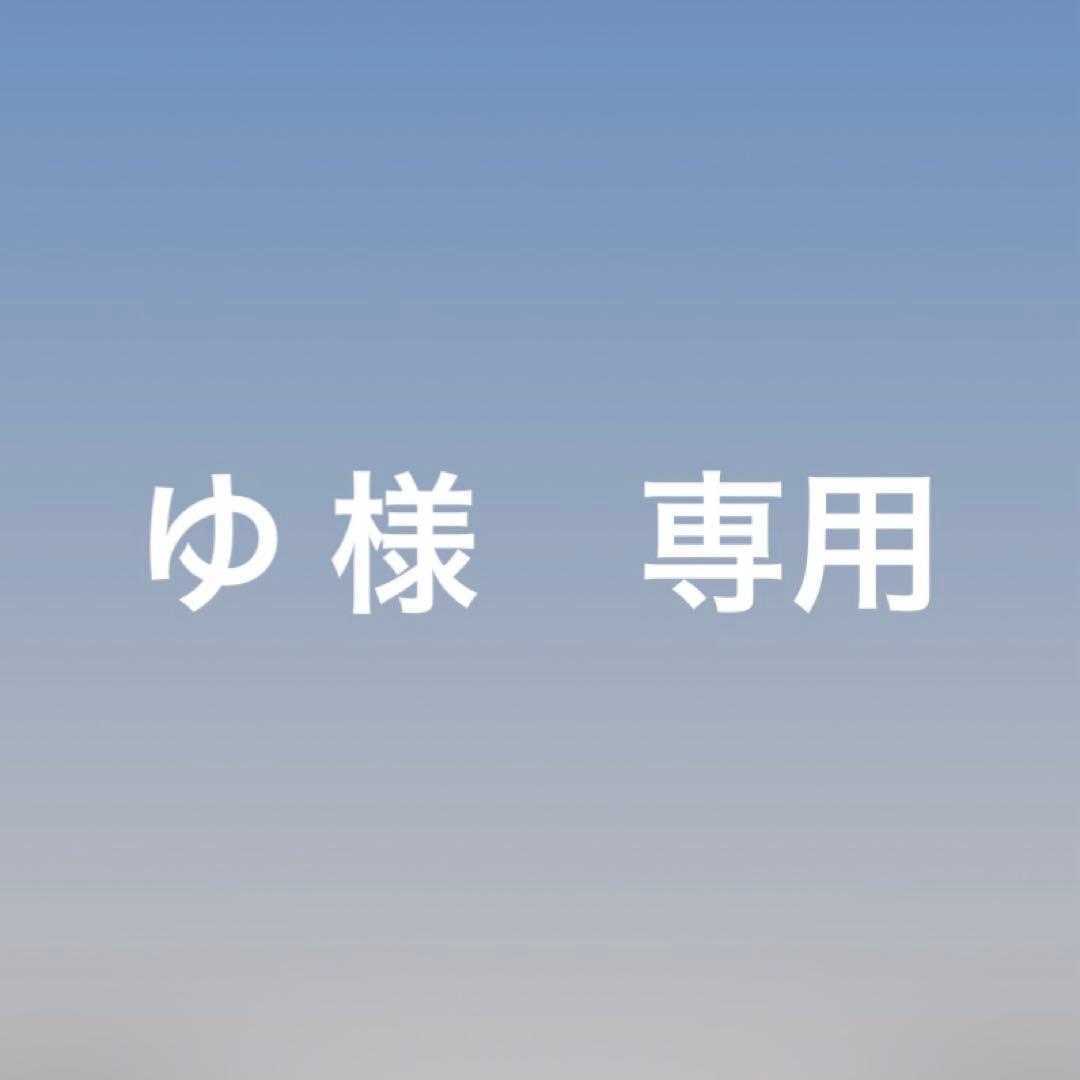 iPad 第9世代 Wi-Fiモデル 256GB シルバー