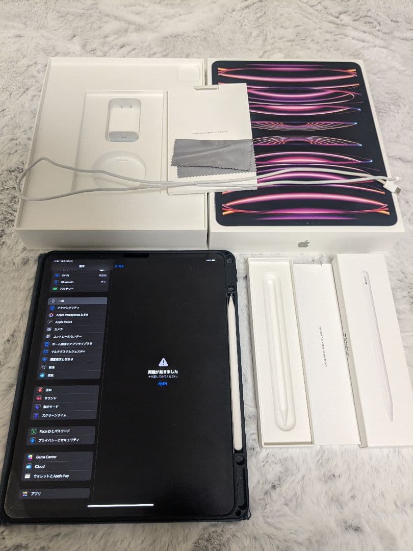 【専用】第6世代Apple iPad Pro12.9 256GB+ApplePe