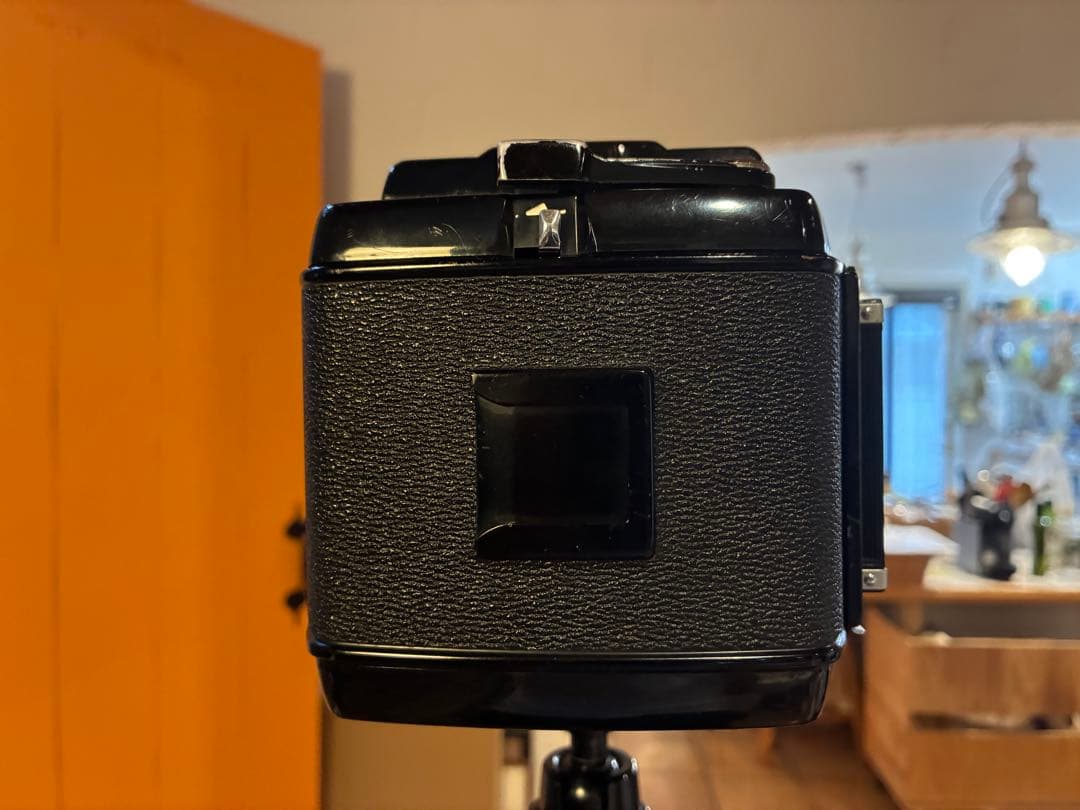 マミヤRB67 セコール127mm3.8 作例有り