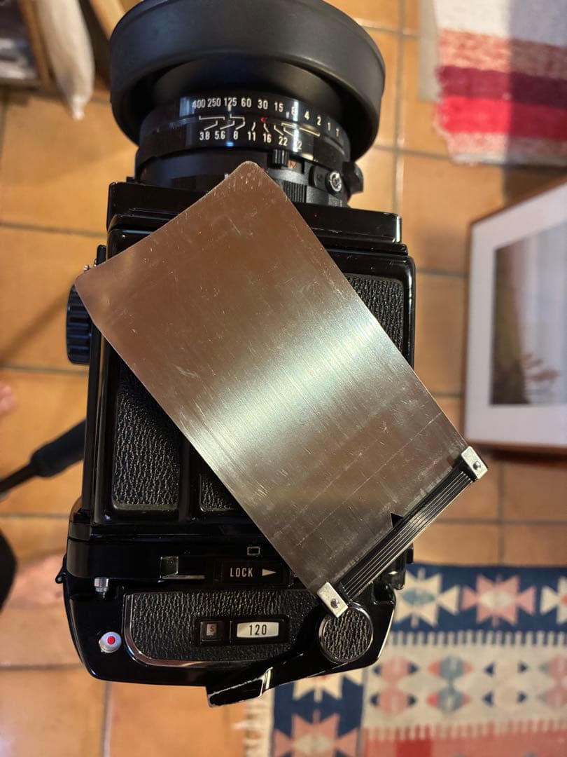 マミヤRB67 セコール127mm3.8 作例有り