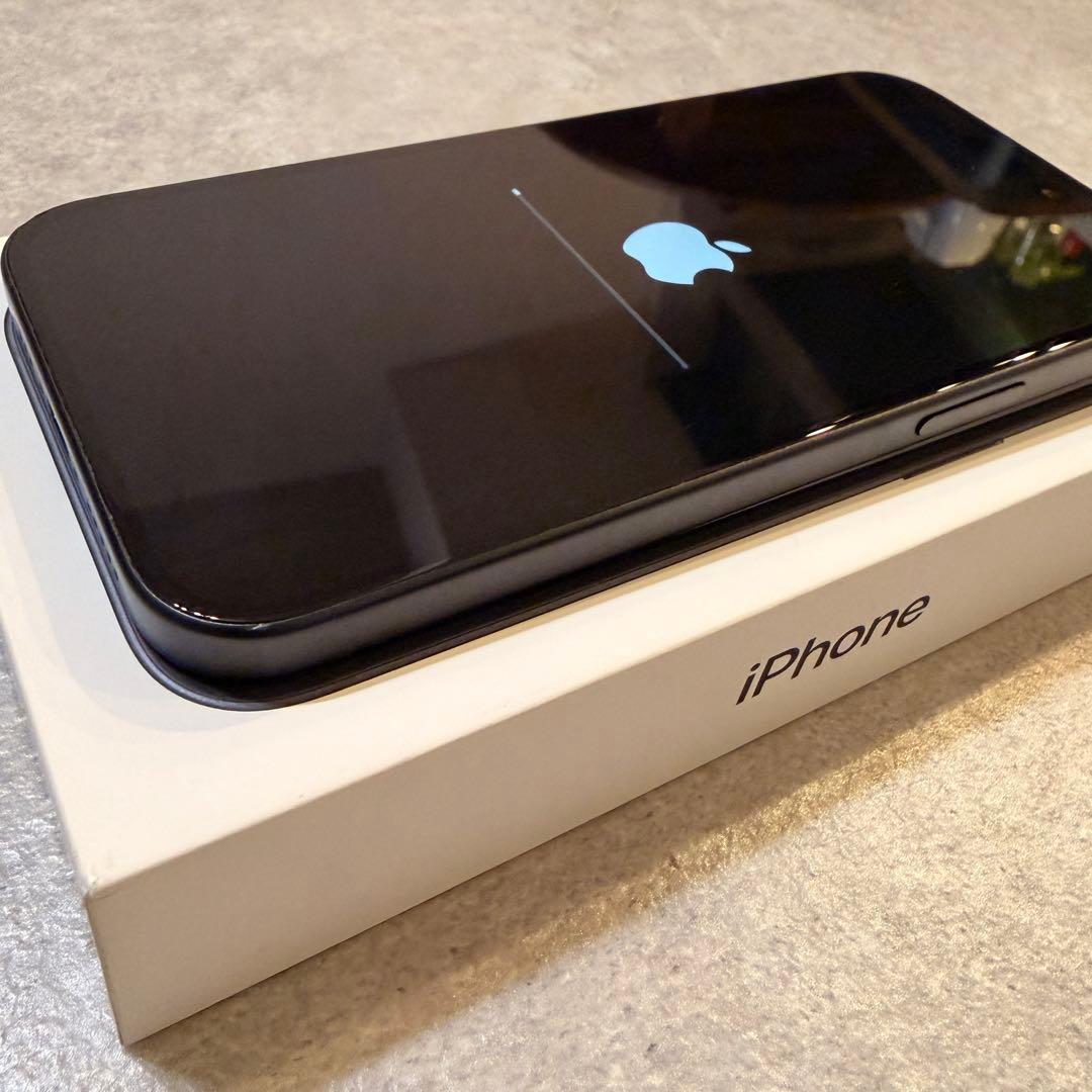 iPhone 15 SIMフリー ブラック 128GB 値引き不可