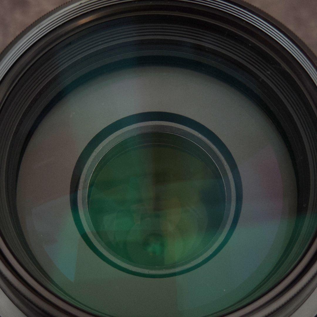 レンズ(ズーム) SONY DT 55-300mm F4.5-5.6 SAM SAL55300