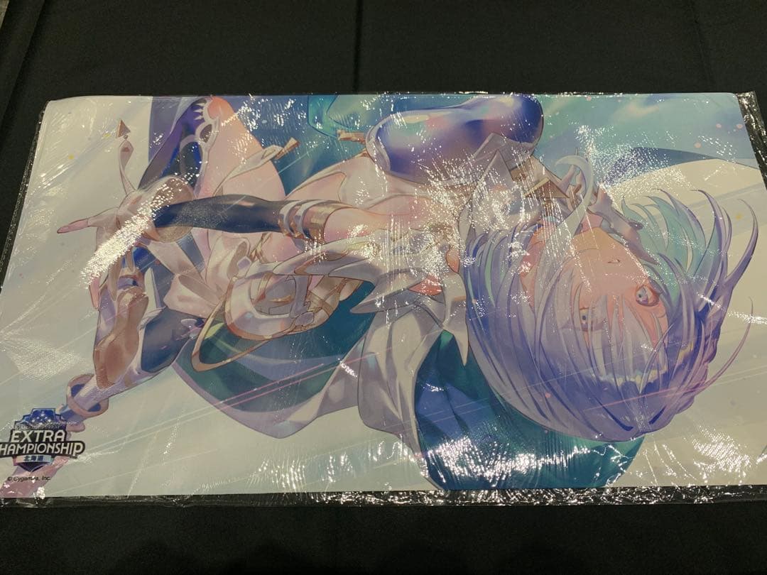 ドライツェーン ECS2025北海道 限定プレイマット