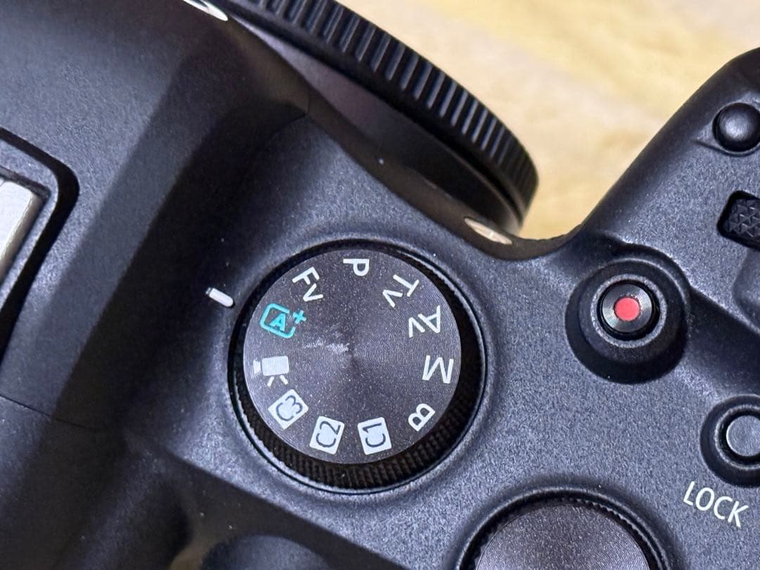 Canon EOS R6 ミラーレス一眼 カメラ本体　キャノン　【21日まで】