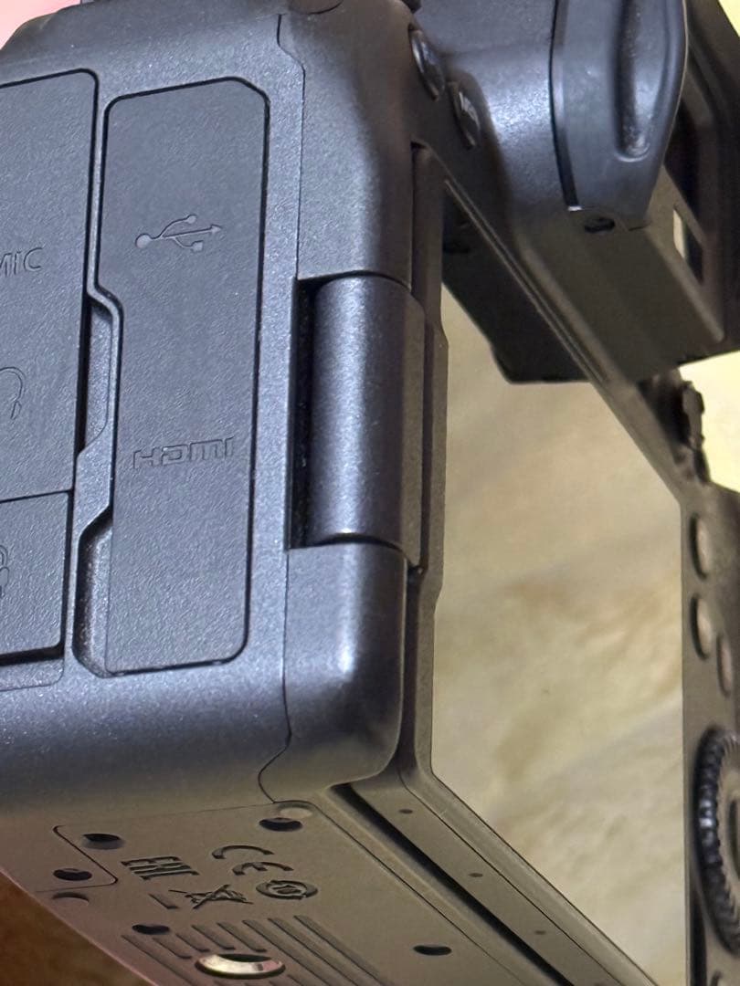 Canon EOS R6 ミラーレス一眼 カメラ本体　キャノン　【21日まで】