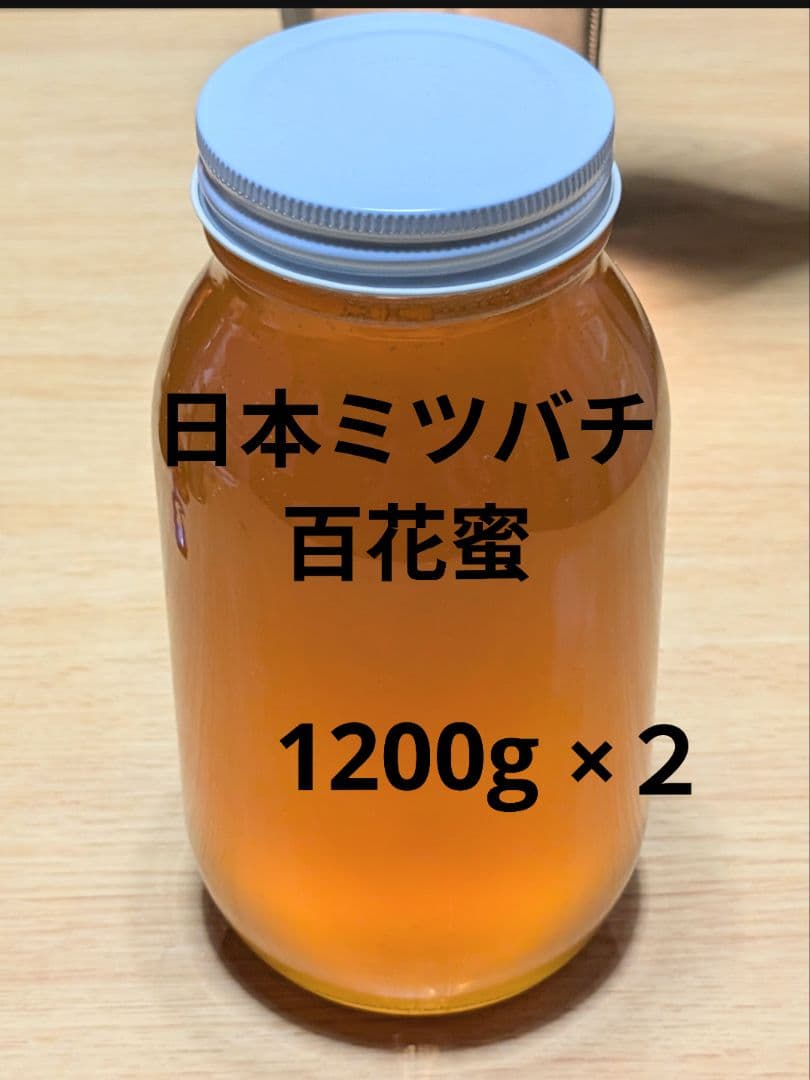 ニホンミツバチの蜂蜜　出不精ママ