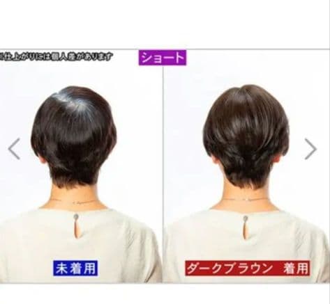 ぺスカ ポイントウィッグ 新チャチャ　ショート完売品ショップチャンネル新品未使用