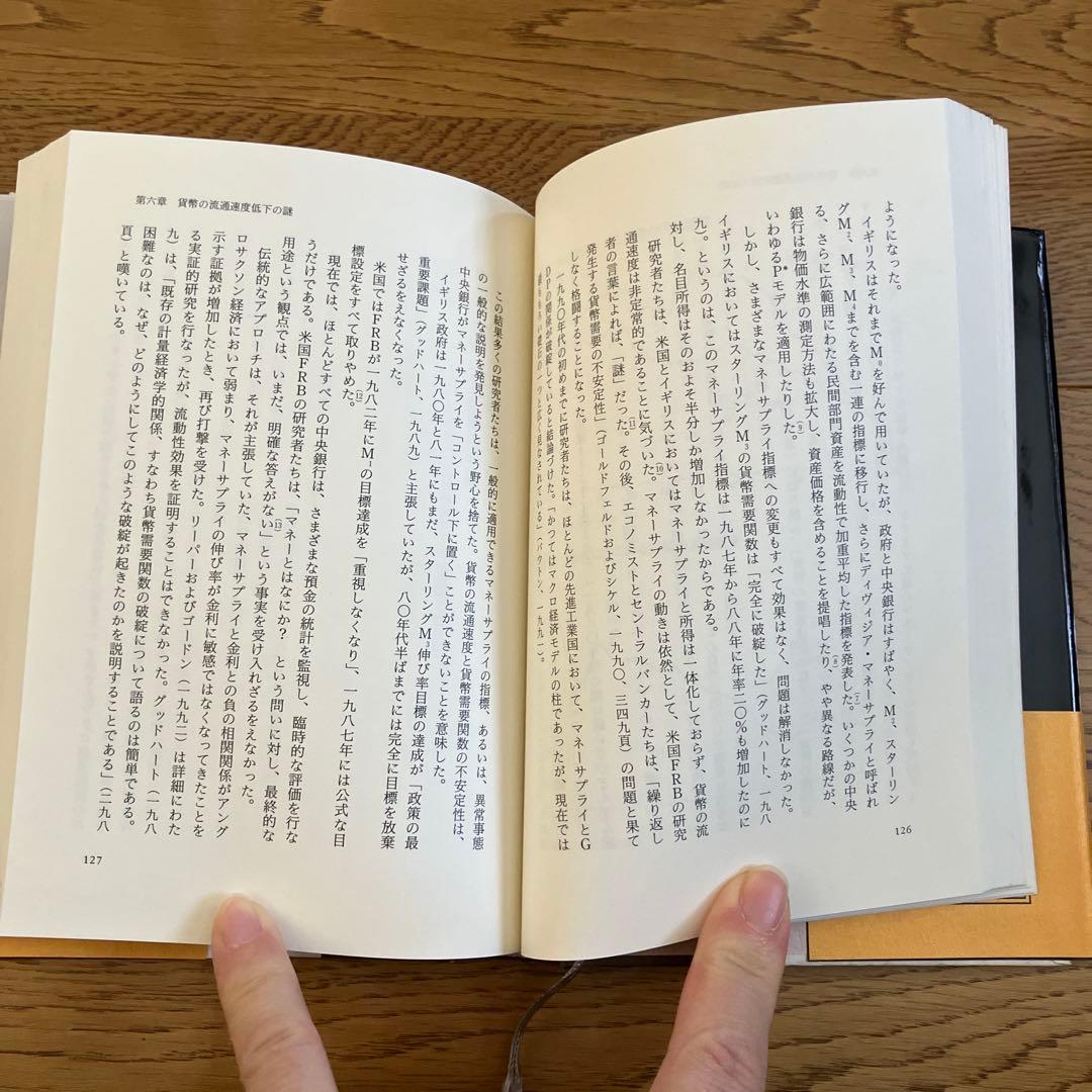 虚構の終焉 マクロ経済「新パラダイム」の幕開け