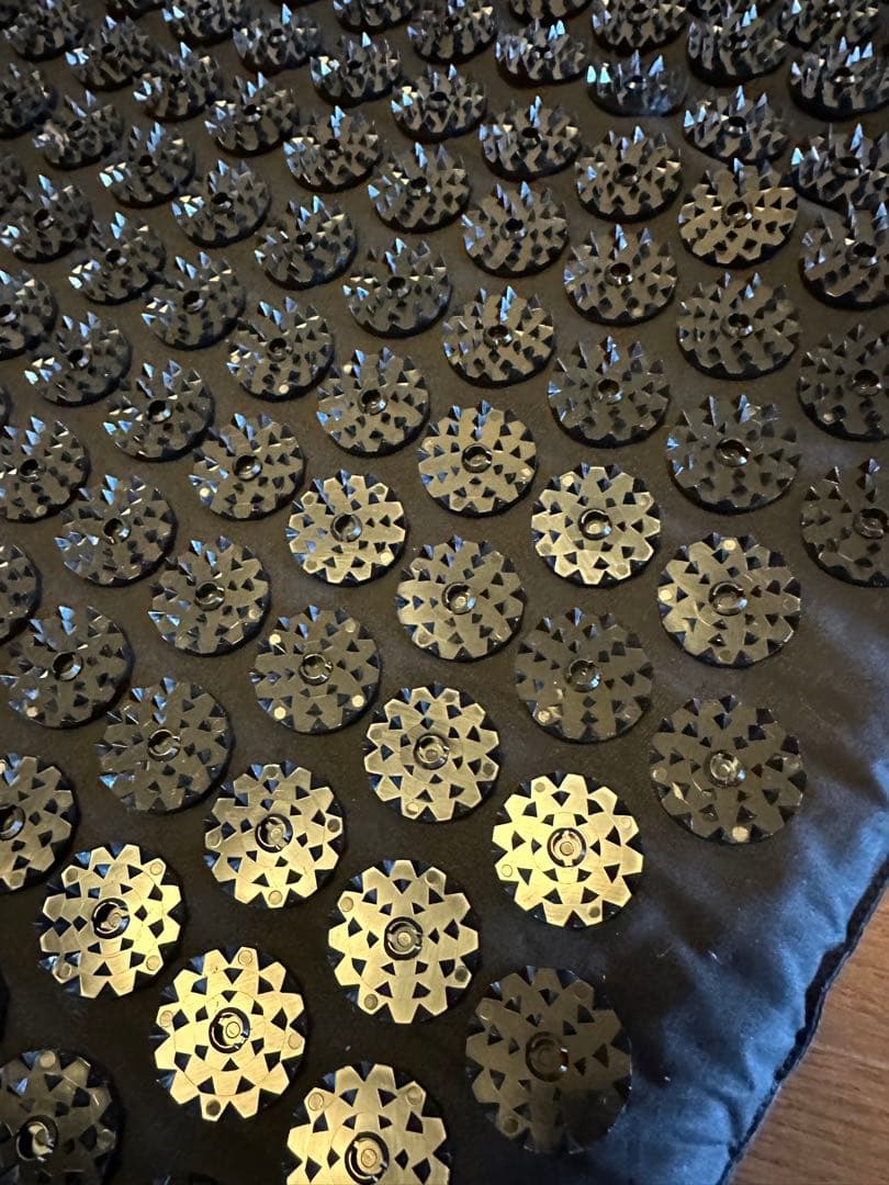 【正規品箱付き】Shakti 究極のシャクティセット ブラック　レベル2