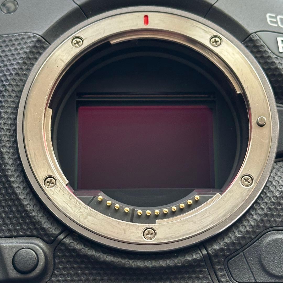 Canon EOS R3 ミラーレスカメラ
