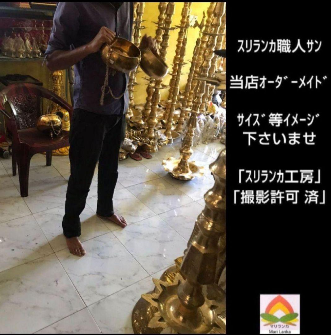 ２７♦k 様 フォロー割お値段です♦シロダーラ ポット 約１．５㍑