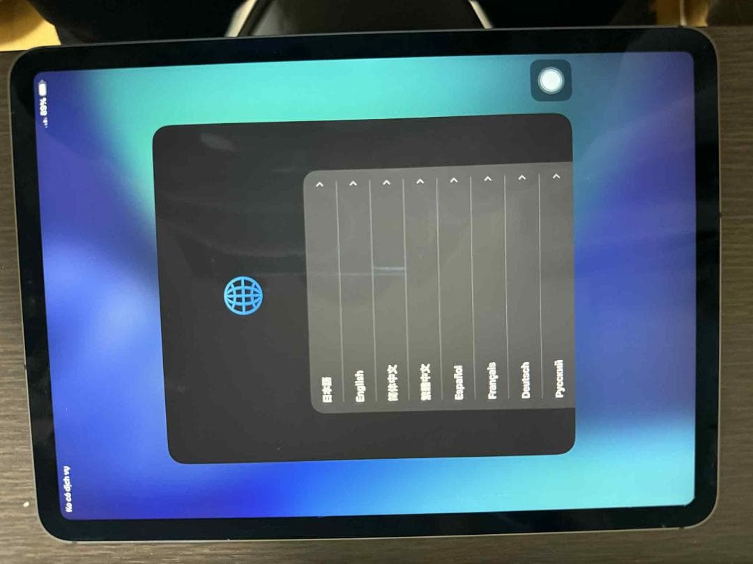 AppleiPad 本体　第1世代セルラーモデル256GB ジャンク品