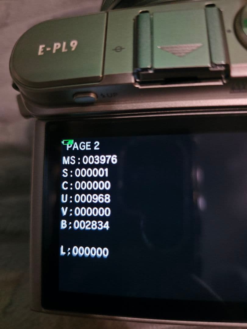 OLYMPUS PEN E-PL9 シルバー ダブルズームキット