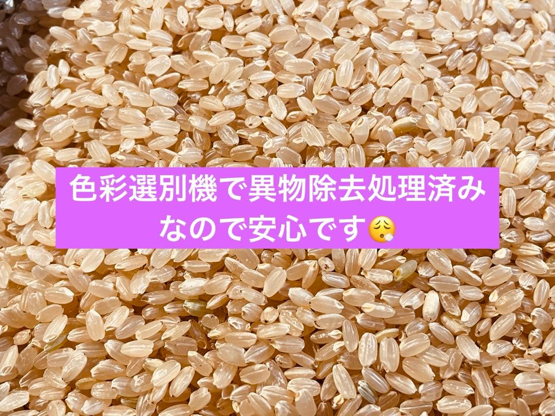 令和7年産 山形県産はえぬき玄米30キロ　農家直送