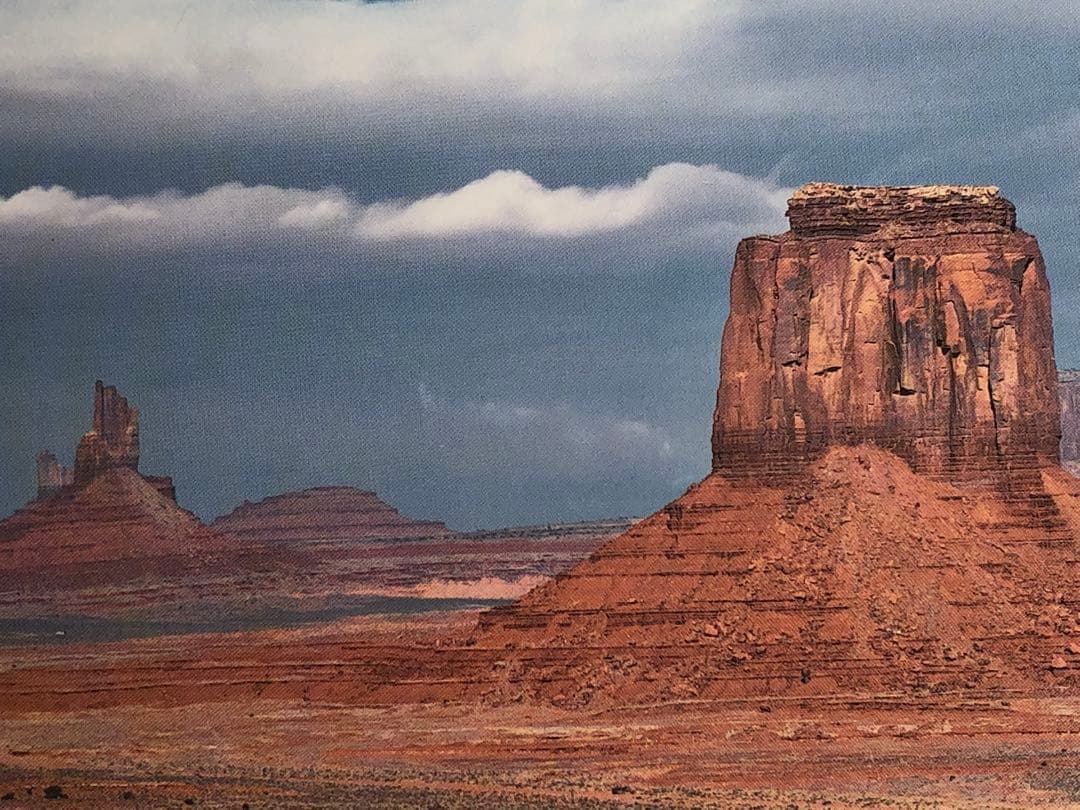 Mel caribe was様　ディアスキンバッグ　白