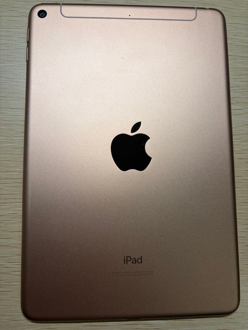 iPad mini 第5世代 Wi-Fi Cellular