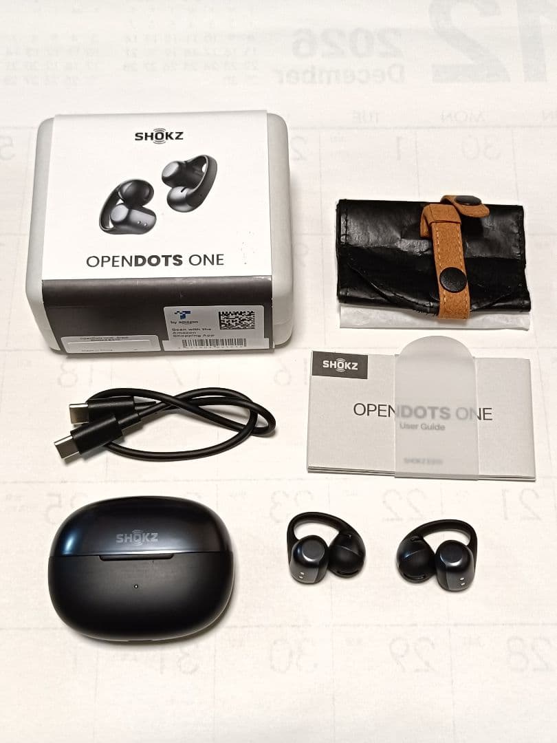 Shokz (ショックス) OpenDots ONE オープンイヤホン