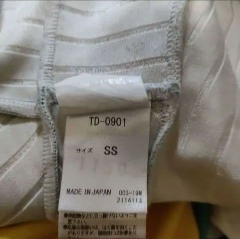 FIS認定モデル デサント アルペンスキー ワンピース