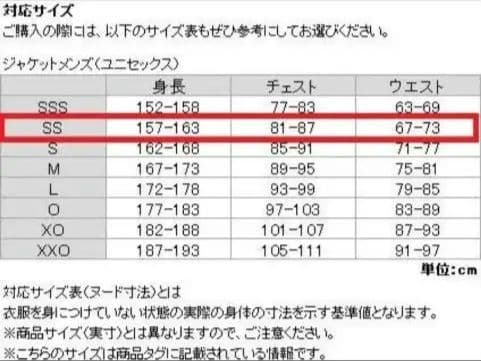 FIS認定モデル デサント アルペンスキー ワンピース