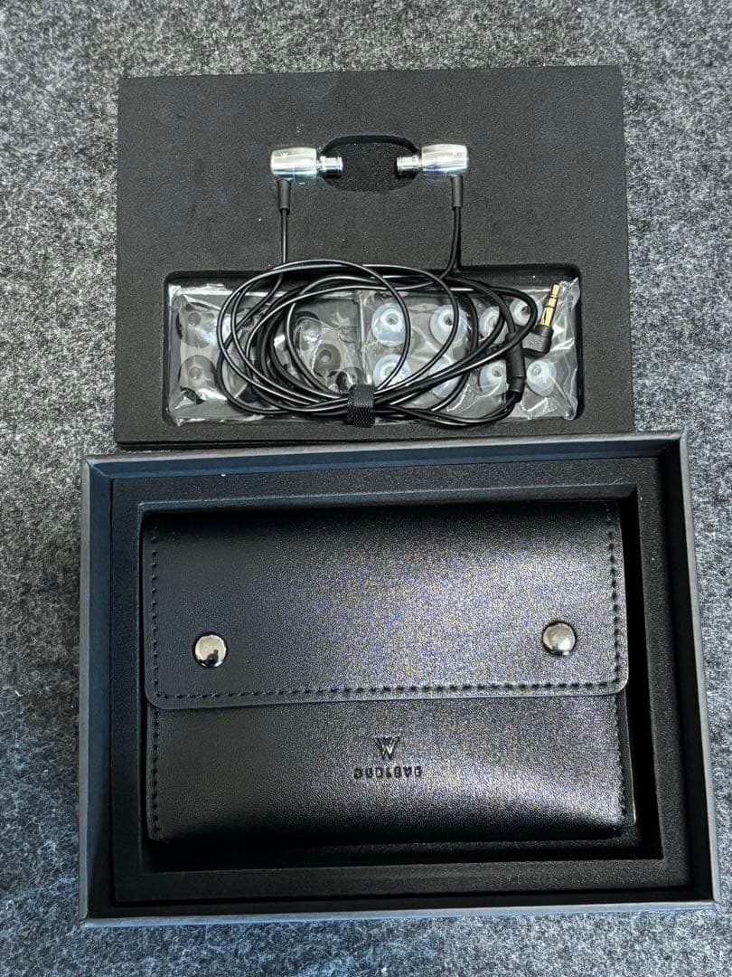 イヤホン radius HP-W100