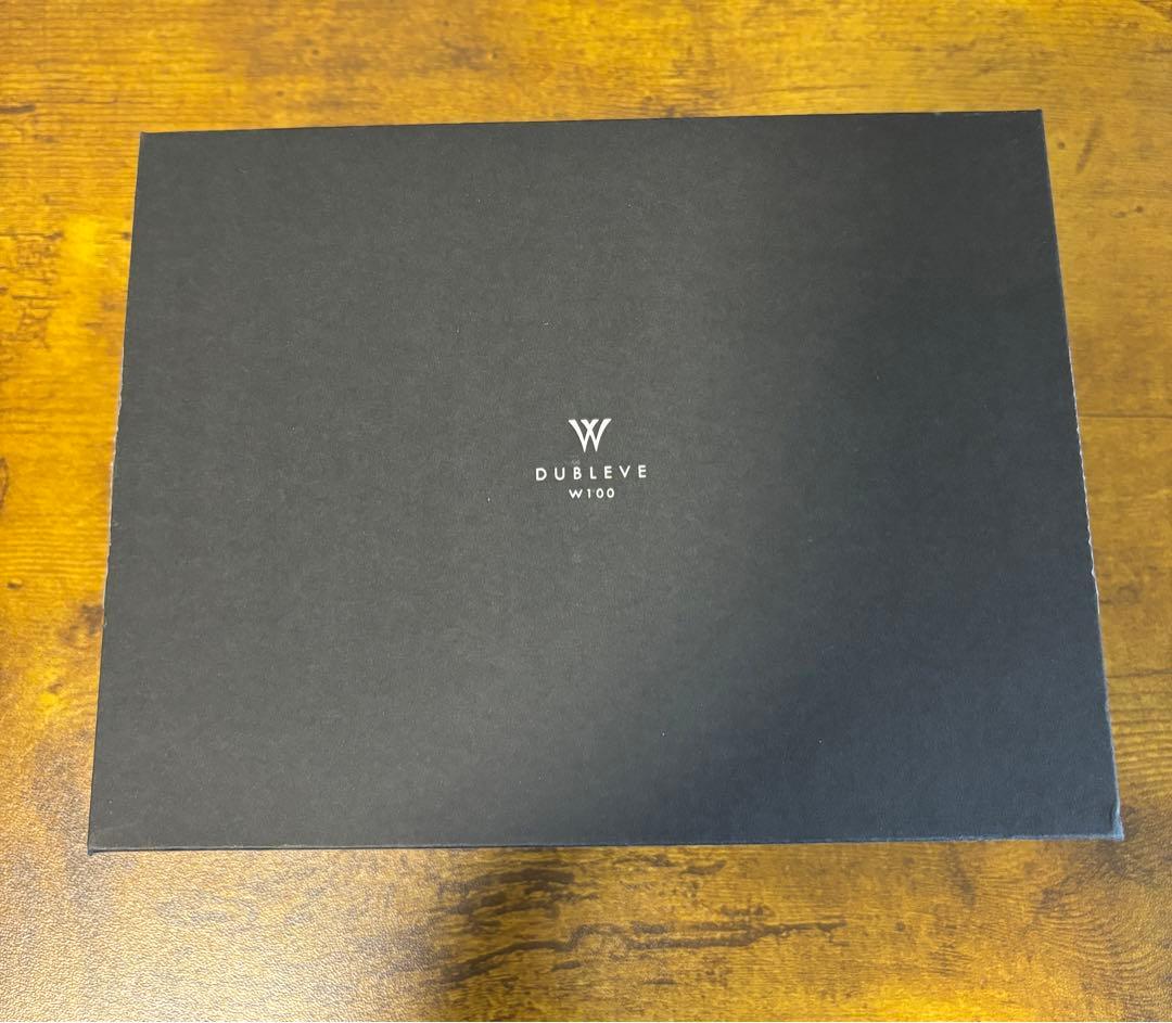 イヤホン radius HP-W100