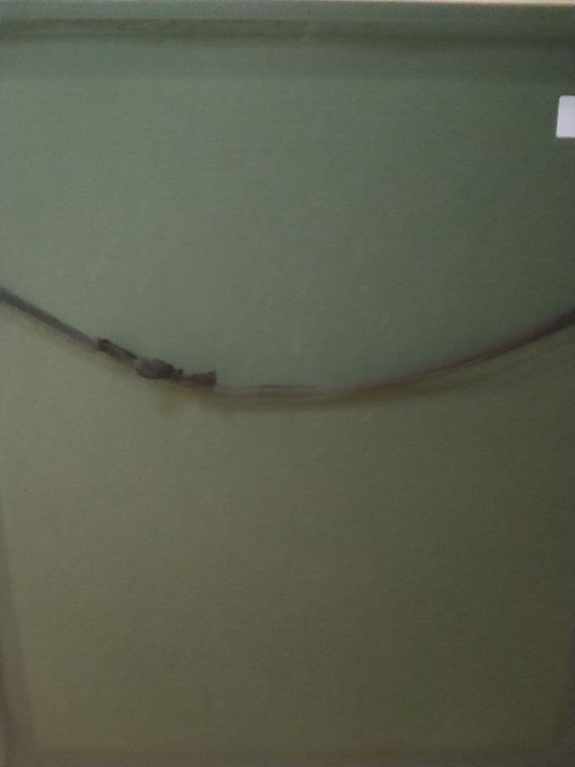 あいはら友子　赤富士に龍神