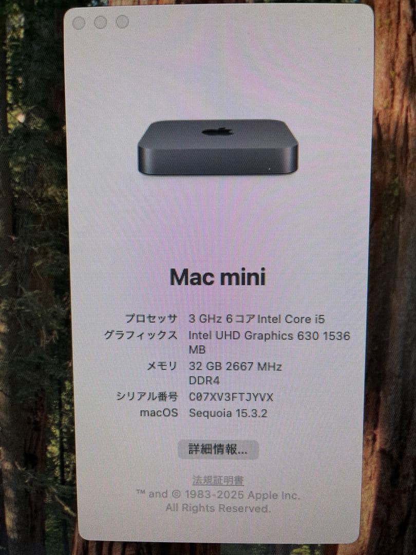mac mini 2018 SSD256GB メモリ32GB ジャンク