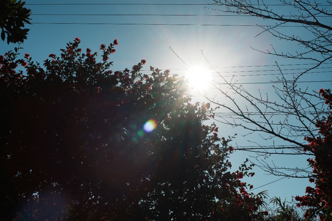 【整備＆テスト済】Nikon Ai Nikkor 50mm F1.2 050