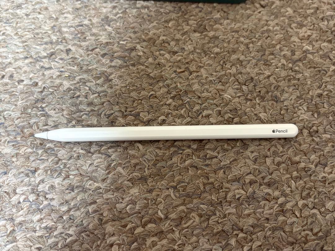 iPad Pro11インチ第1世代 256GB Apple pencil第2世代