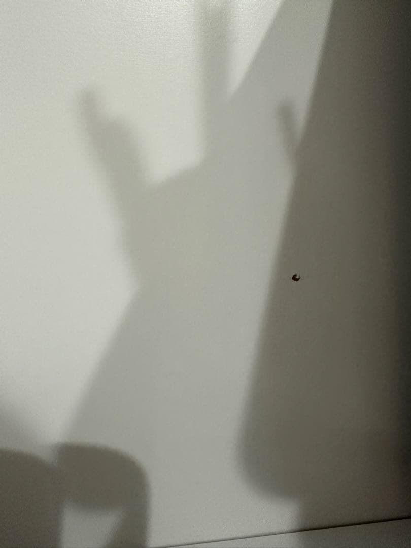 ※ころまま 食器棚　キッチンカップボード