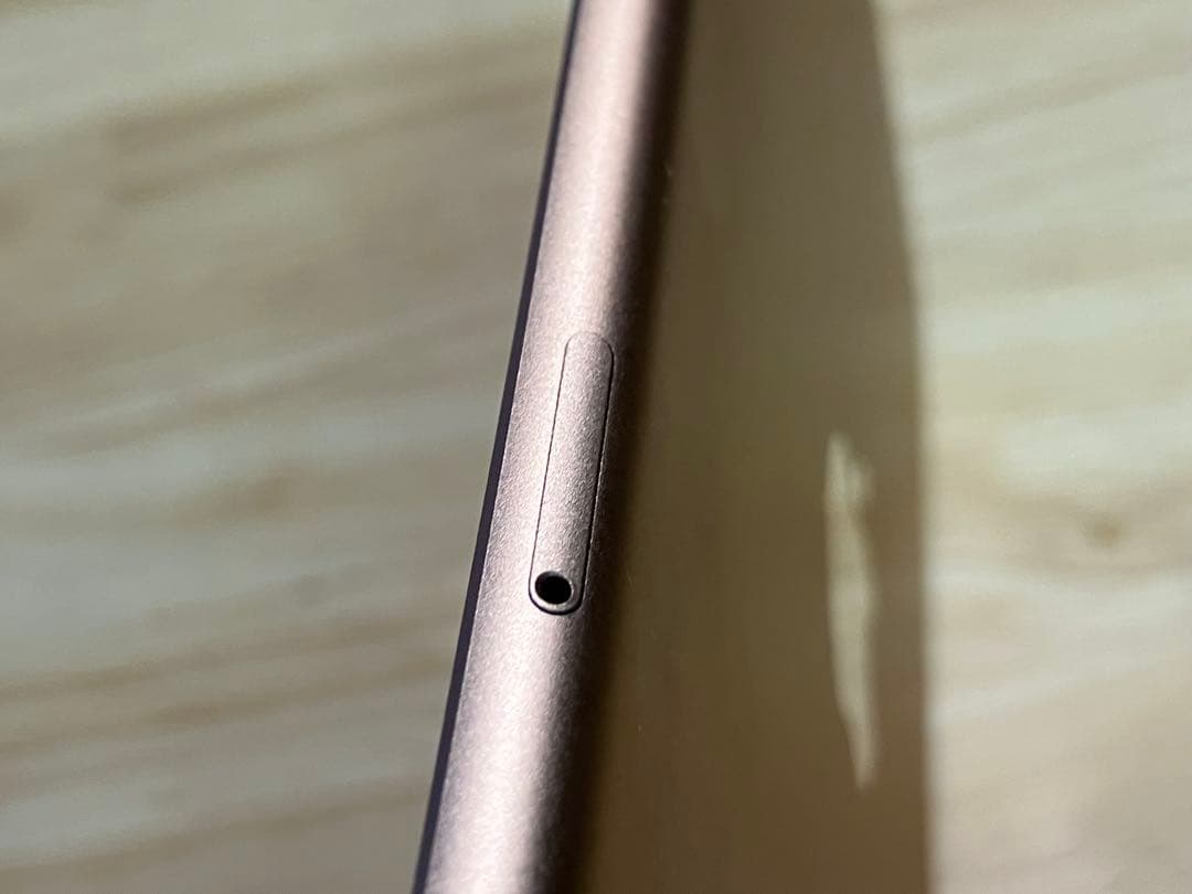 iPad mini5 64GB ＋Apple pencil 第１世代