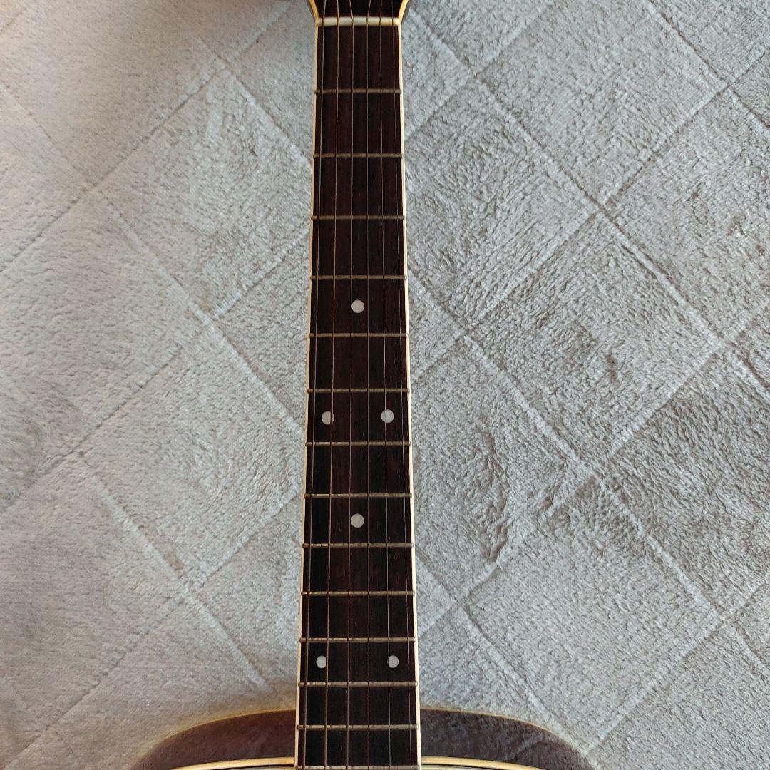 Morris MF-205　 アコースティックギター (ケース付き)