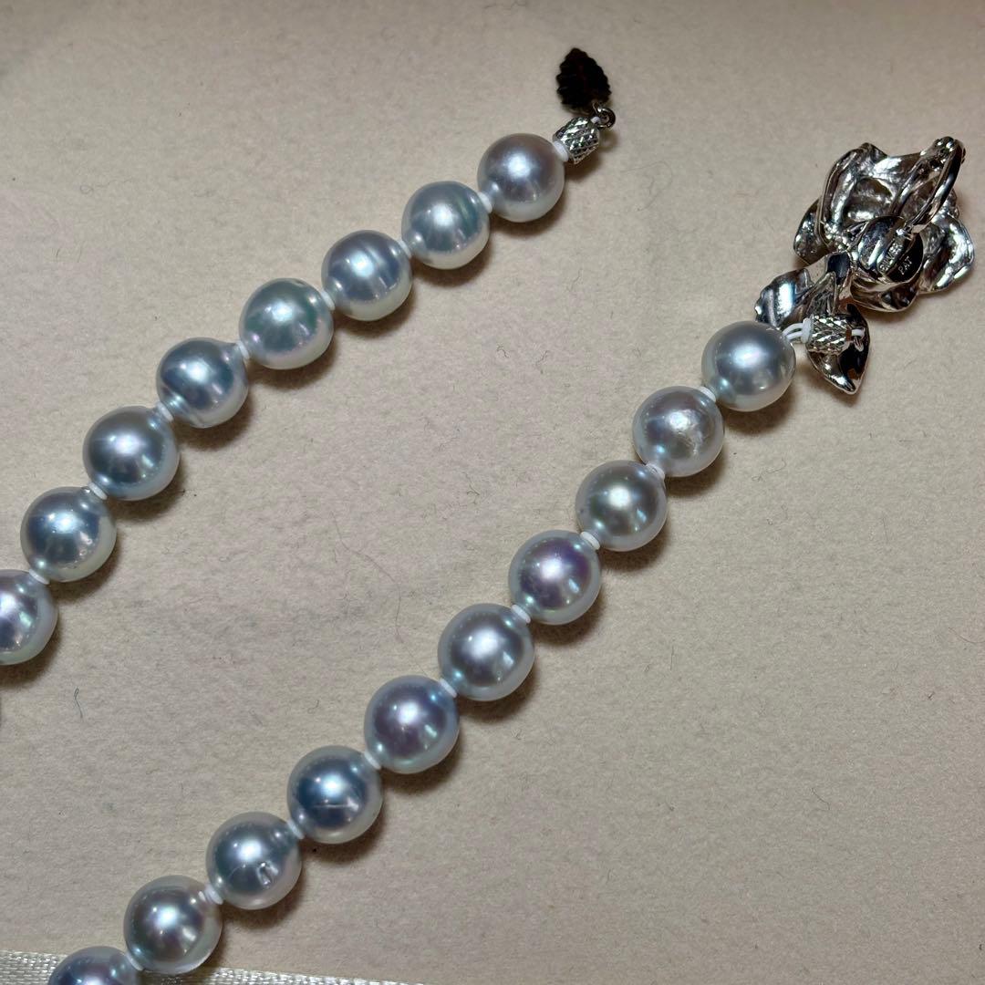 【テリ強 ✨鑑別書付き】あこや真珠　ブルーグレー　約8.0-8.5mm 本真珠