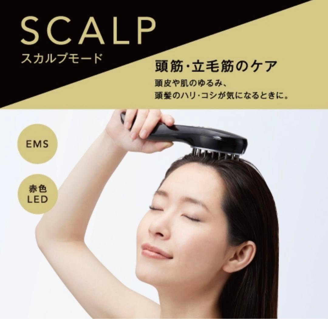 EMSリフトブラシ